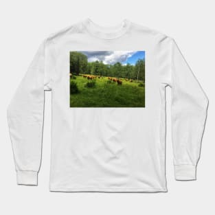 Scottish Highland Cattle Cows 2030 Long Sleeve T-Shirt